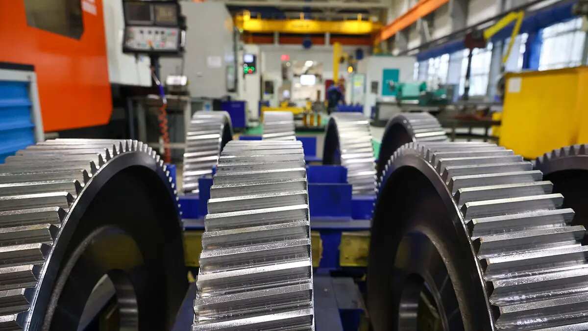    Фото: vm.ru Мария Михайлова