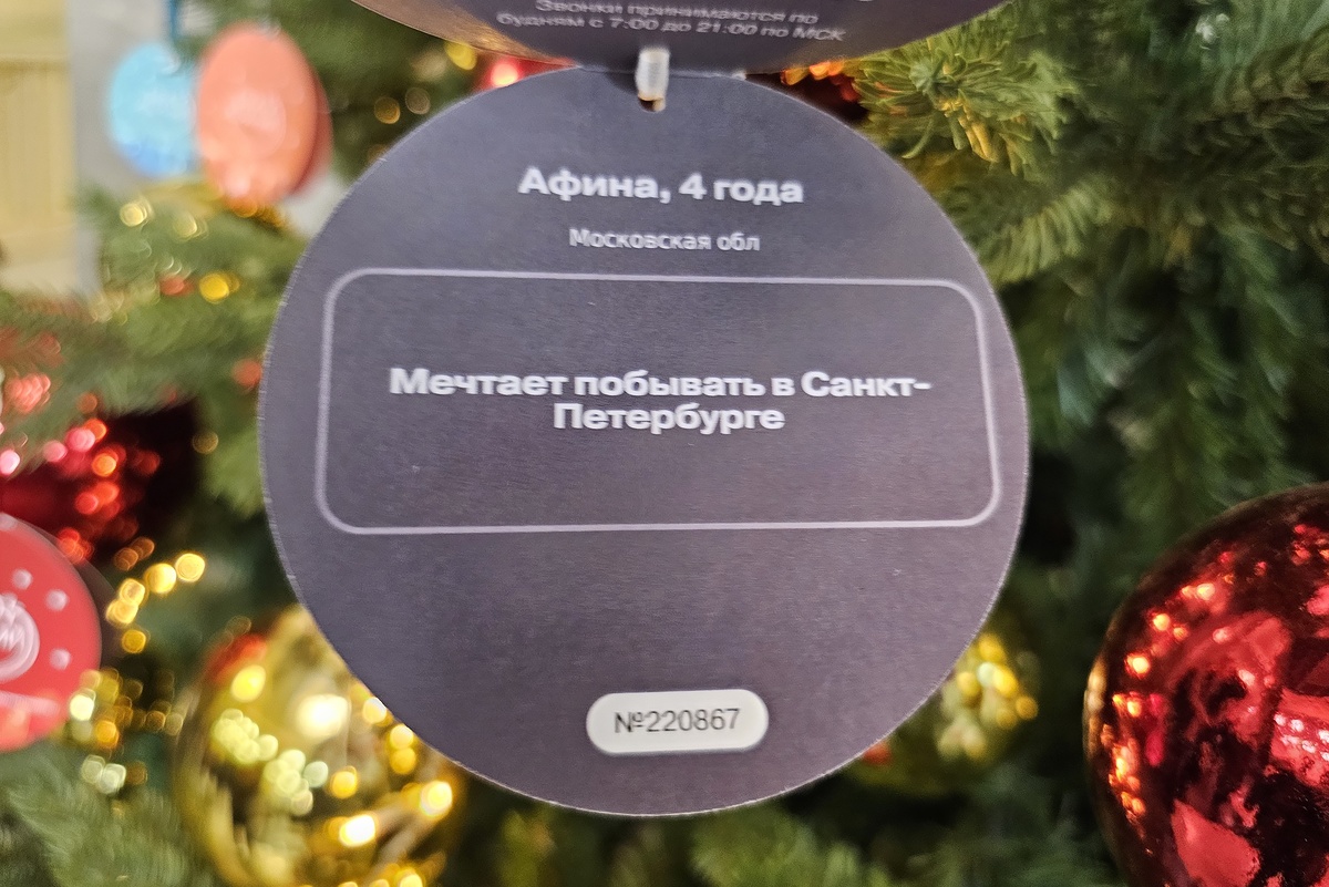    Константин Завражин/РГ