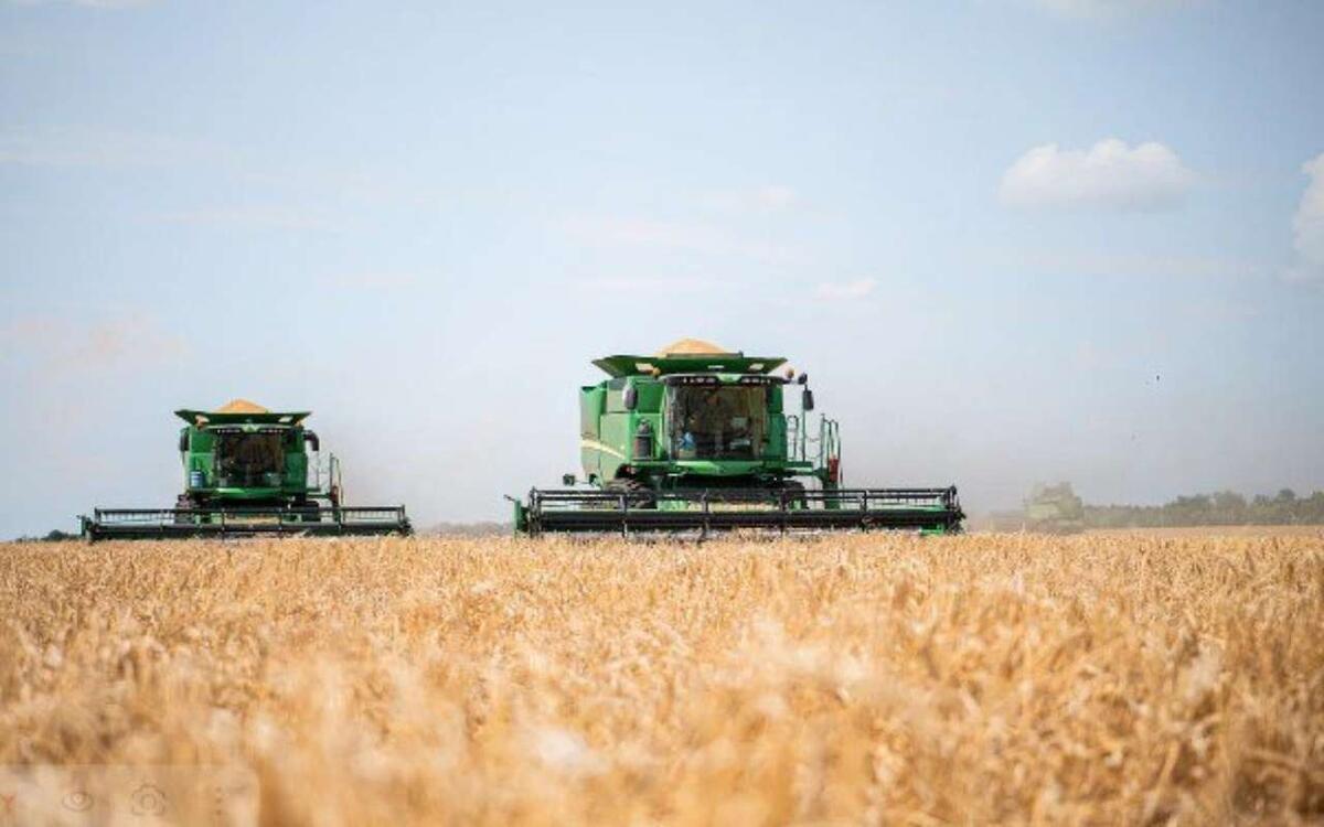    Хозяйства «ЭкоНивы» собрали 1,2 млн тонн товарных культур Фото – «ЭкоНива»