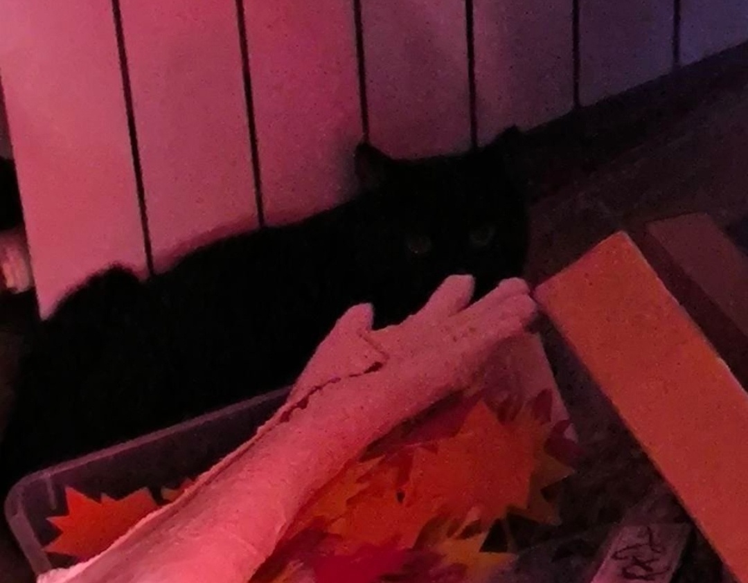 «Сидит в углу за шкафом, о существовании которого никто не знал 😄». 