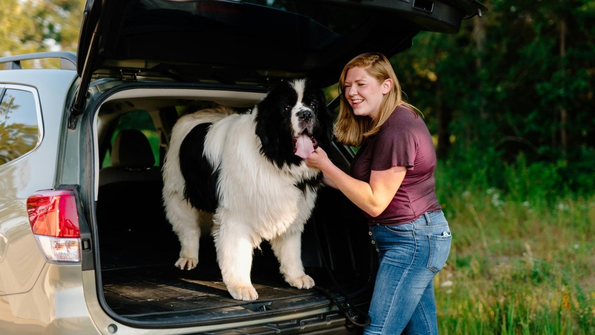    Распознать кинетоз не сложно