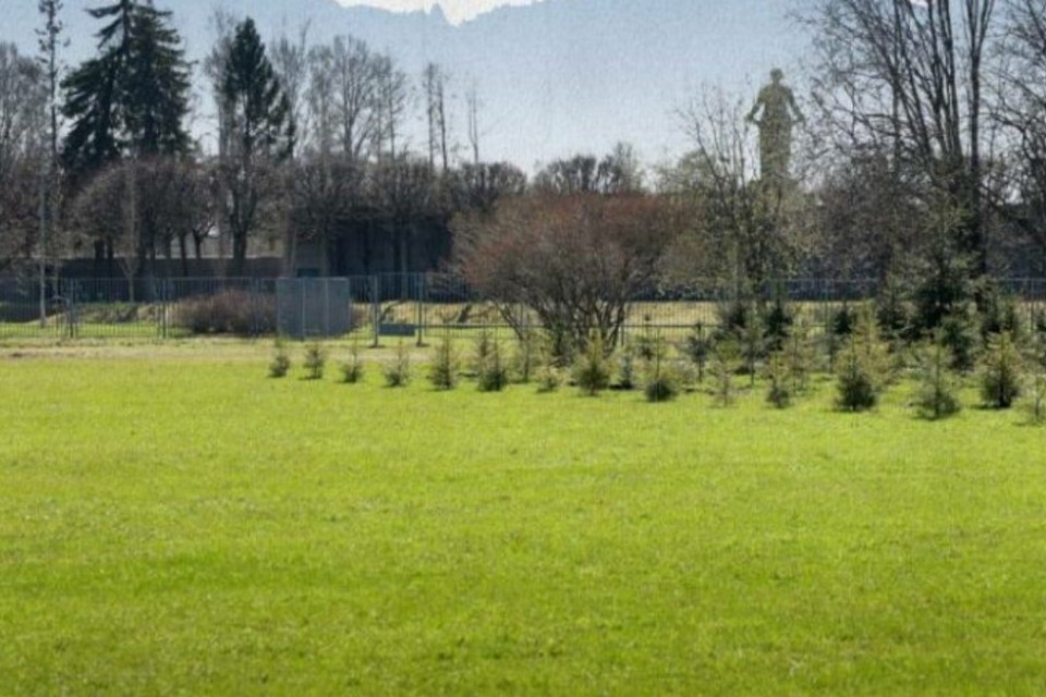    В сентябре решение поддержала городская топонимическая комиссия. Фото: Смольный