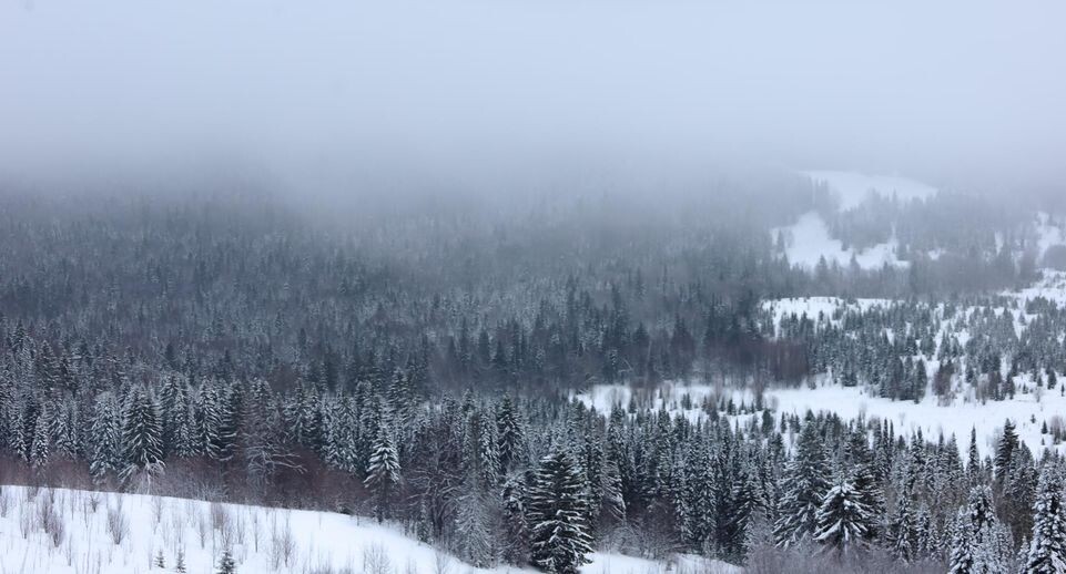    Elena Mayorova/Global Look Press / www.globallookpress.com