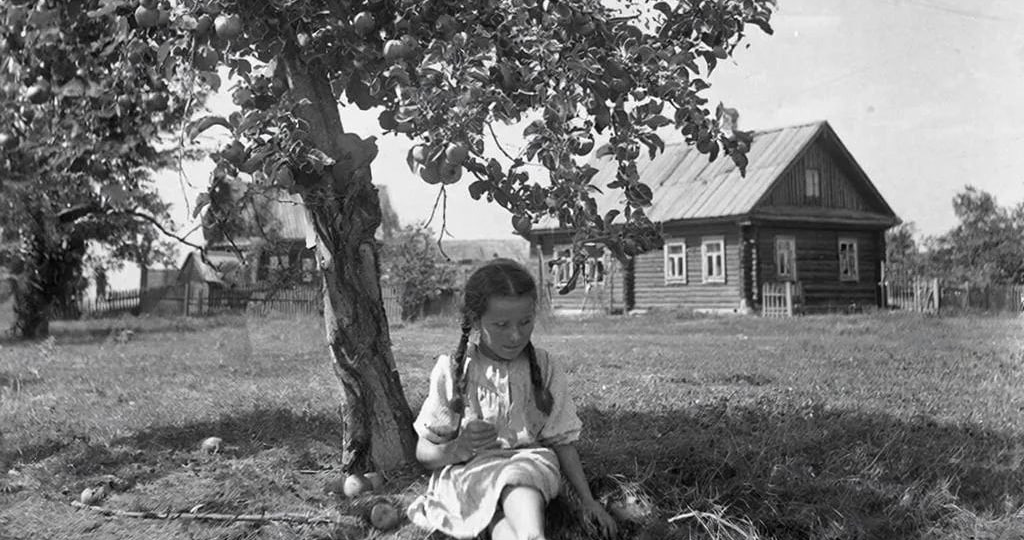 Яблочный суп