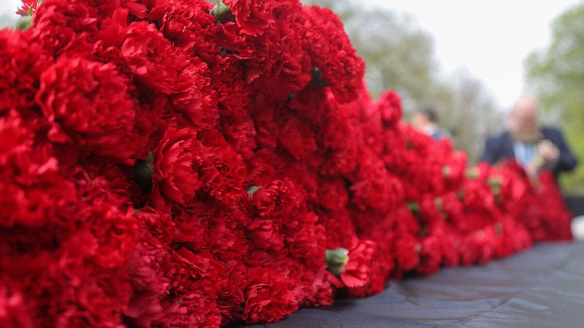    Фото: Артур Новосильцев / АГН Москва