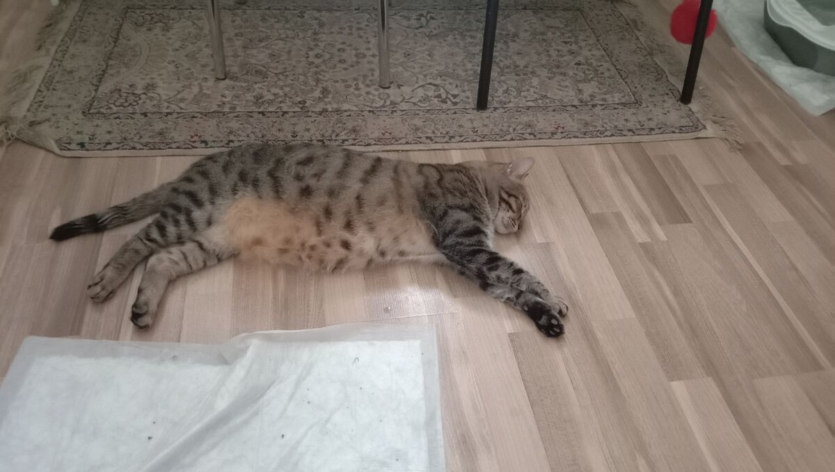 Кто расслаблен? Я расслаблен!