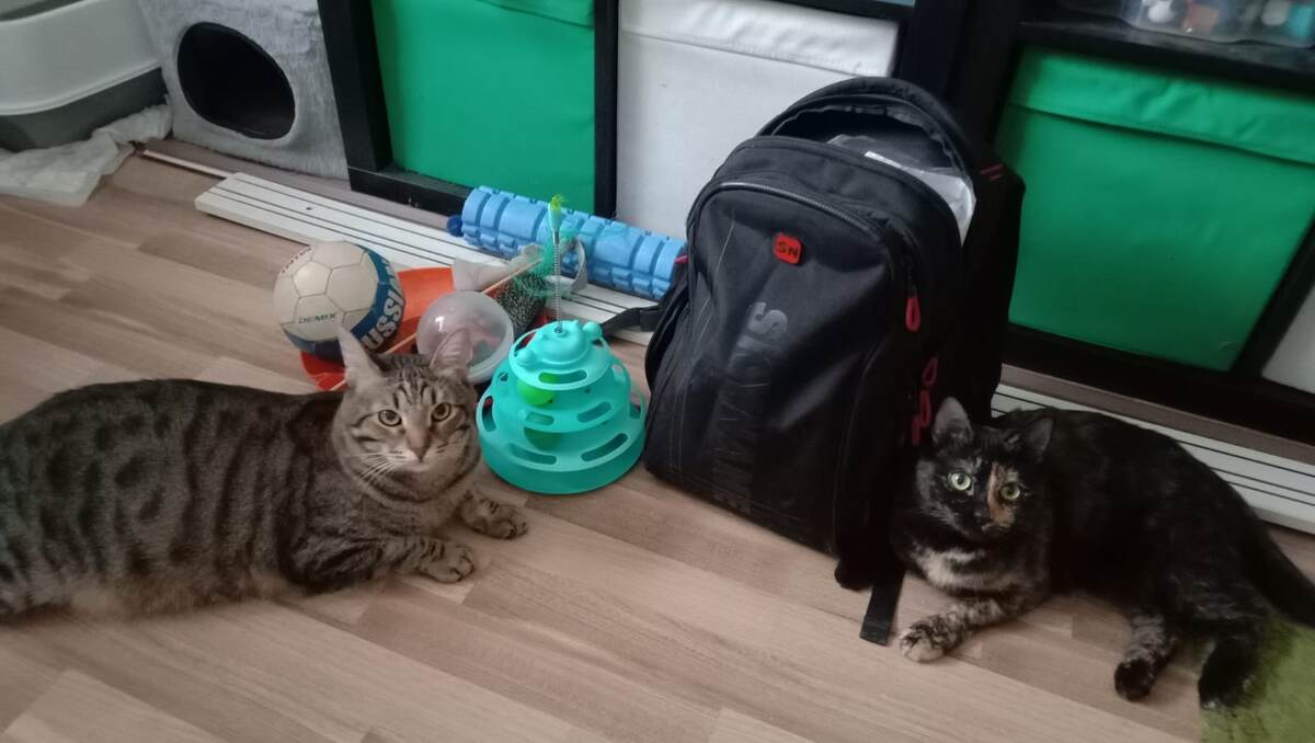 Васяндр и Бусинка. Пара года))