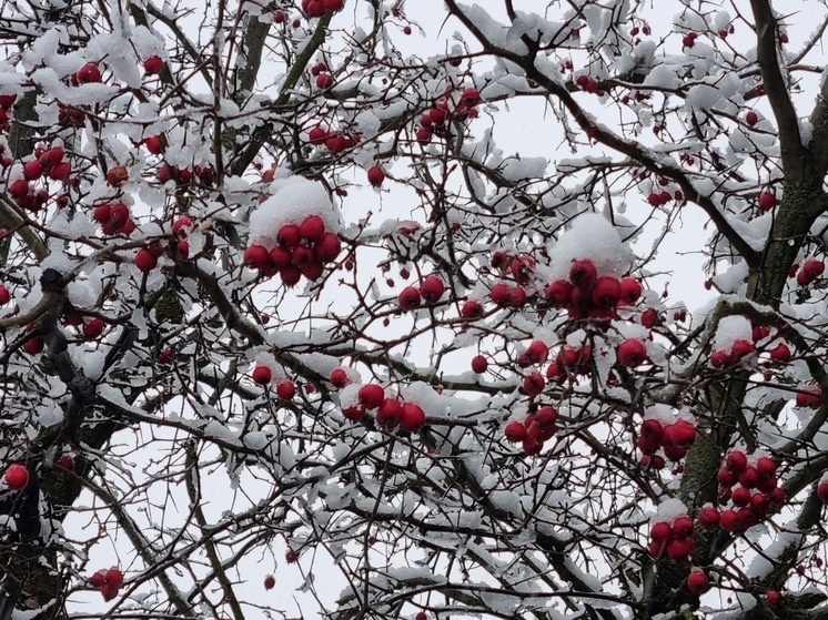 Фото: Ирина Бричкалевич