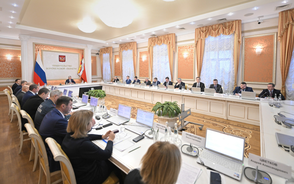 Фото: пресс-служба правительства Воронежской области