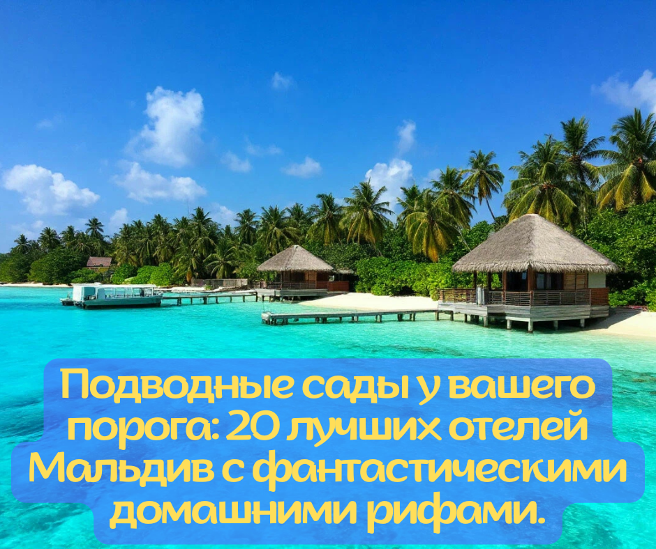 Картинка создана при помощи ИИ. Подводные сады у вашего порога: 20 лучших отелей Мальдив с фантастическими домашними рифами.