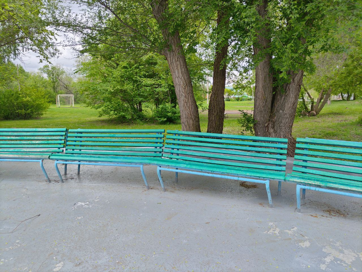 Фото автора.