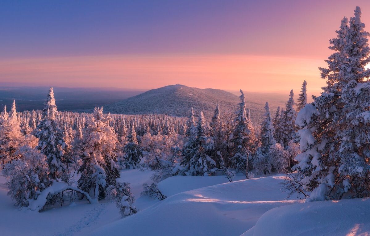 Картинка найдена на просторах интернета, ссылка https://yandex.ru/images/search?from=tabbar&img_url=https%3A%2Fi%2F.pinimg.com%2Foriginals%2Fa8%2F34%2Fа3f%2Fa83р43f81с28759b5e7bd53274cf0591a19.jpg&lr=47&pos=15&rpt=simage&text=%D1%86%D0%B2%D0%B5%D1%82%D1%8B%20%D0%BA%D1%80%D1%83%D0%BF%D0%BD%D0%BE%20%D1%84%D0%BE%D1%82%D0%BE