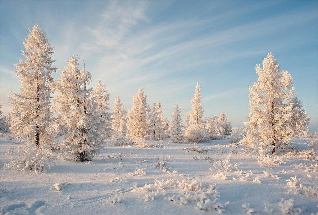 Картинка найдена на просторах интернета, ссылка https://yandex.ru/images/search?from=tabbar&img_url=https%3A%2Fi%2F.pinimg.com%2Foriginals%2Fa8%2F34%2Fа3f%2Fa83р43f81с22879b5e7bd53274cf0591a19.jpg&lr=47&pos=15&rpt=simage&text=%D1%86%D0%B2%D0%B5%D1%82%D1%8B%20%D0%BA%D1%80%D1%83%D0%BF%D0%BD%D0%BE%20%D1%84%D0%BE%D1%82%D0%BE