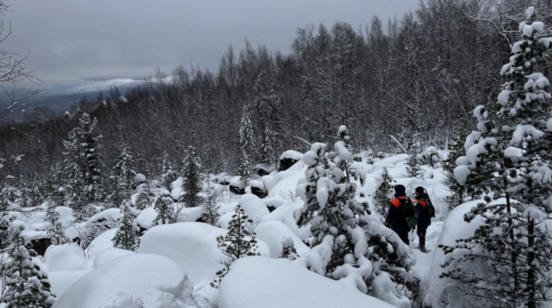    Фото: скриншот из Telegram/ДПСО "ЛизаАлерт" Красноярского края