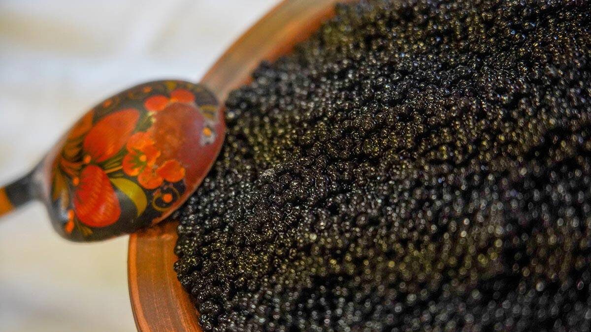    Фото: Александр Авилов / АГН Москва