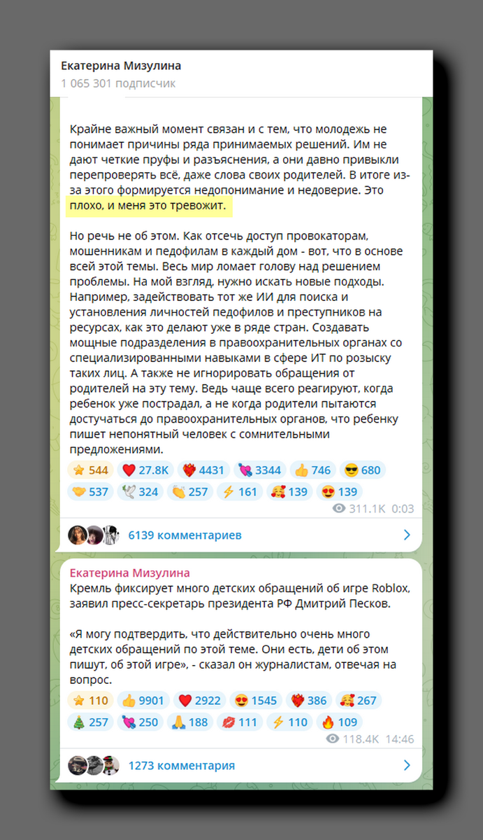 Скриншот https://t.me/ekaterina_mizulina