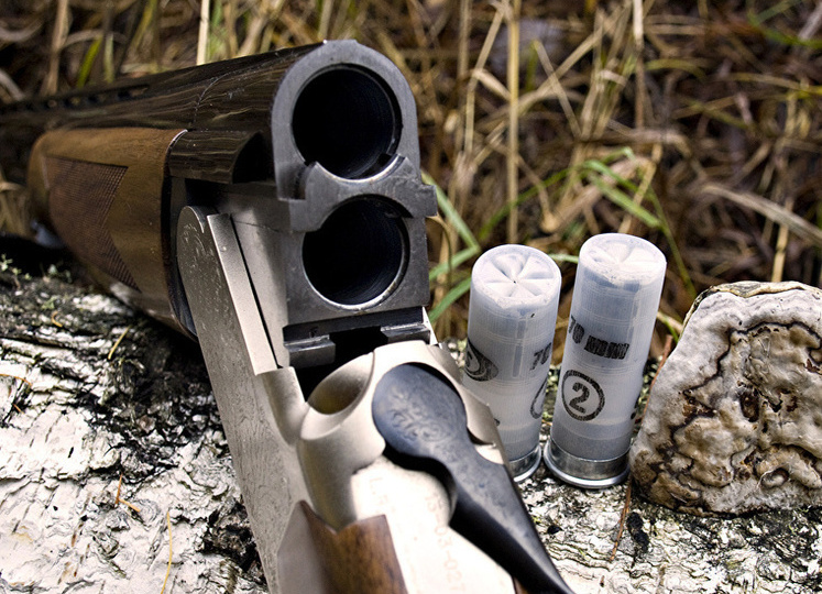 Новый закон об оружии: что изменится для охотников и спортсменов РФ