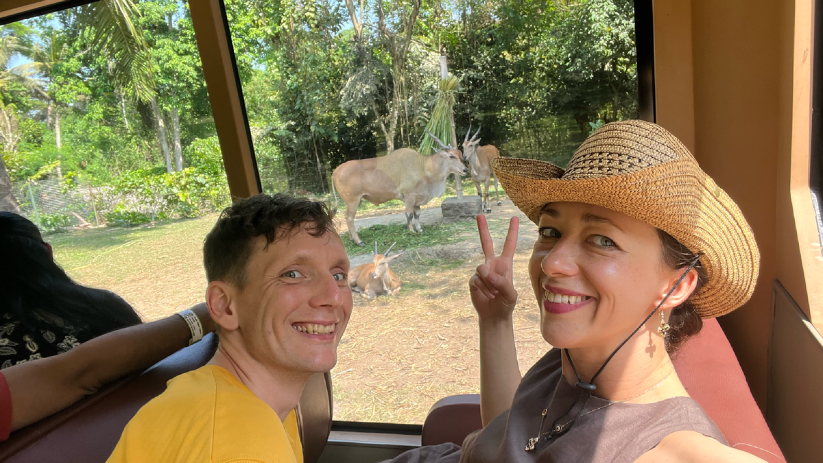 Жарко! Ярко! Но не по новогоднему! Фото автора.