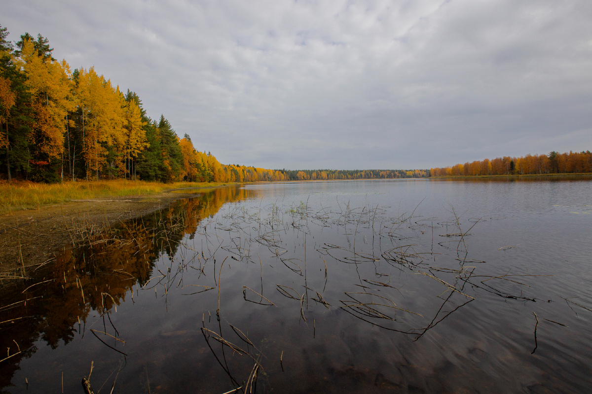 Автор фото: Анатолий Смирнов