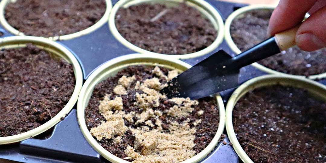 🌱 Подготовка грунта для рассады: история моих проб, ошибок и маленьких побед