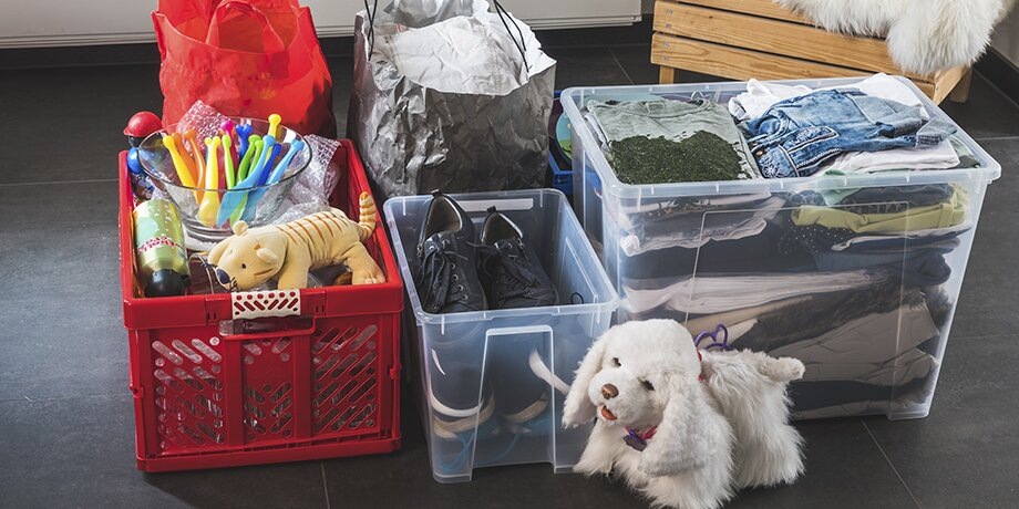    Фото: depositphotos/DanielaBaumann