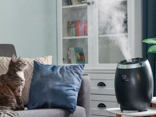    Фото: depositphotos/tashka2000