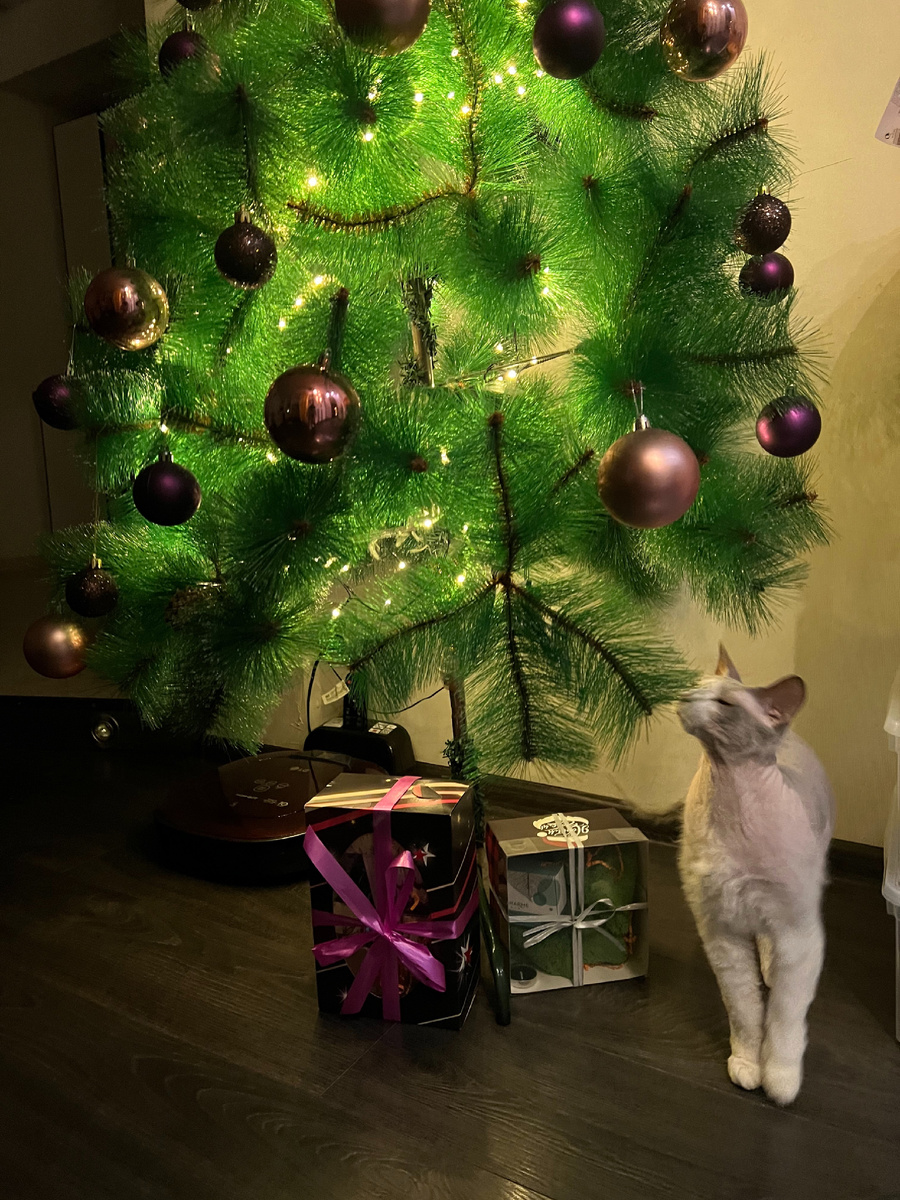 Вот такую смешную фотку с Аквой нашла, она сама как подарочек)