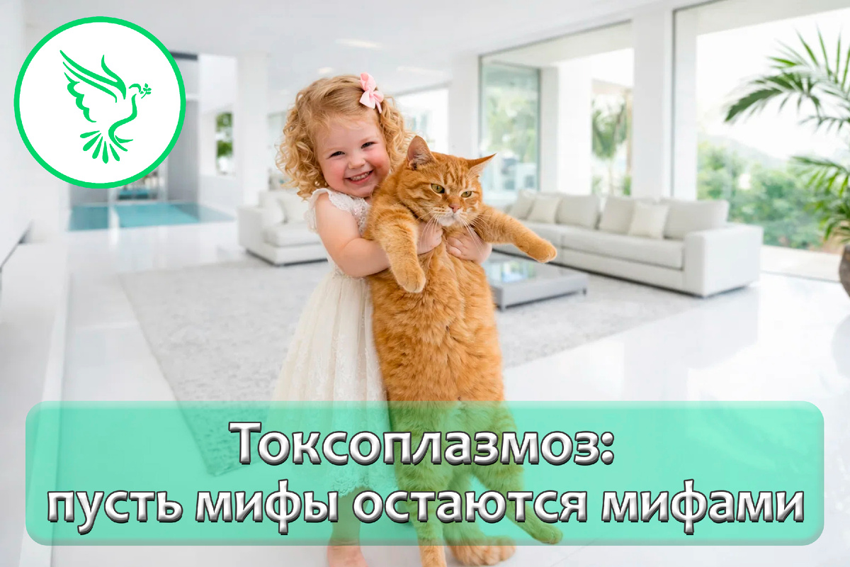 Что нужно знать о токсоплазмозе?