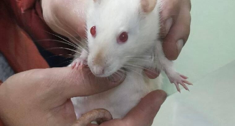    Минсельхоз МО