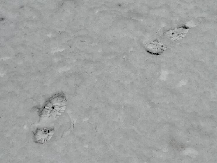     Из них живыми нашли 189 человек. Фото: архив МК в Питере