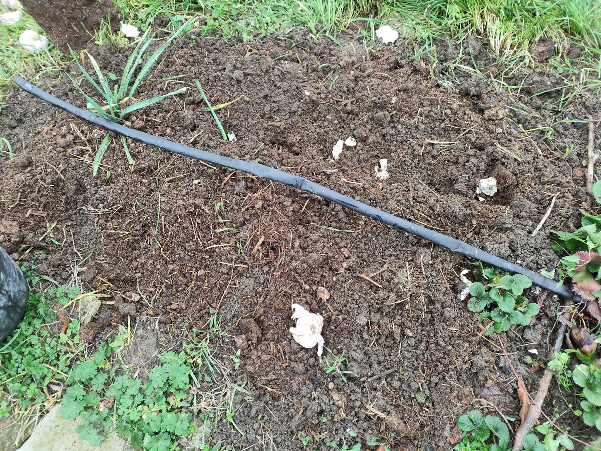 Вот таких два кусочка вдоль ленты в два ряда.