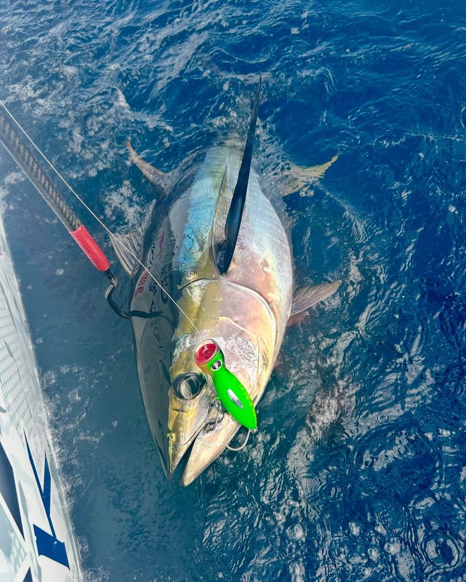 Выбор цвета в зависимости от желаемой добычи