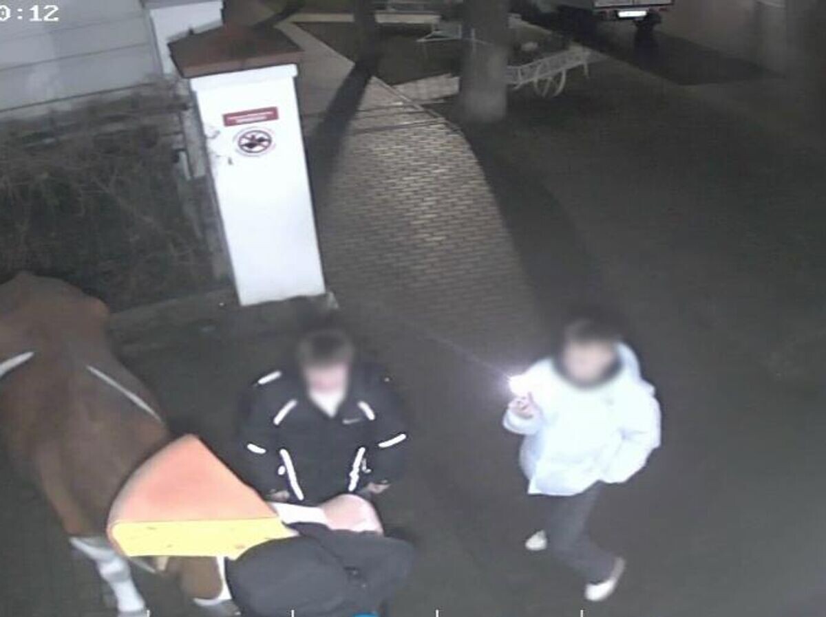    Вандалы оторвали рог на скульптуре коровы Маруси у музея сыра в Костроме | © Фото : Музей сыра | Кострома/ВКонтакте