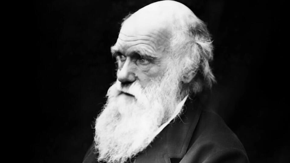 Фото: © Кадр из программы "Момент в истории", РЕН ТВ 