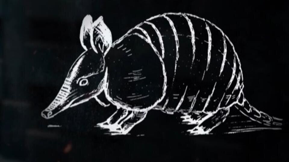 ФОТО: Кадр из программы "Момент в истории", РЕН ТВ