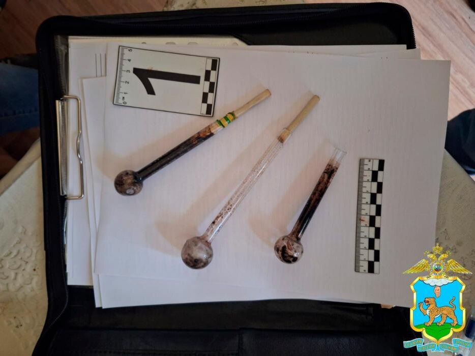 Наркопритон ликвидировали в Псковской области
Фото: пресс-служба УМВД России по Псковской области