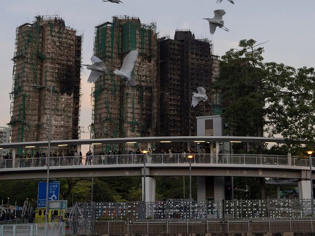    Фото: ТАСС/AP/Ng Han Guan