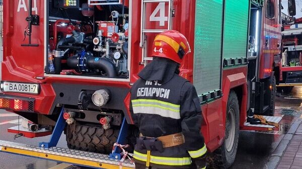    © Sputnik / Александр Жибуль