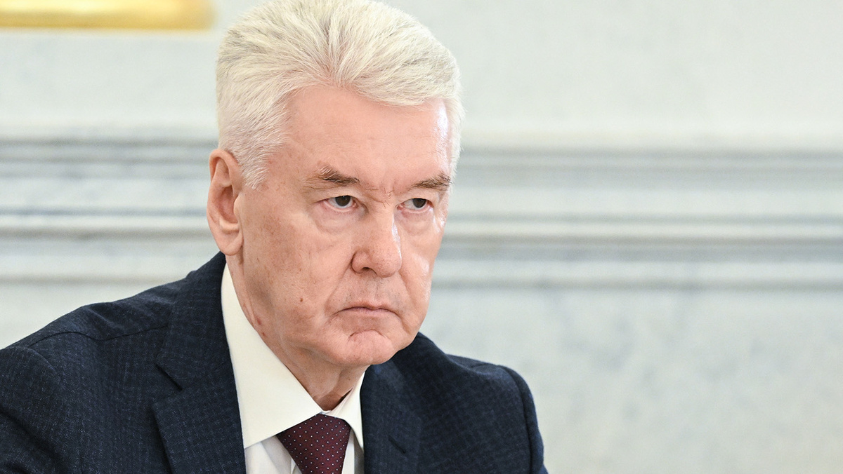   Кристина Кормилицына / ТАСС- Сергей Собянин