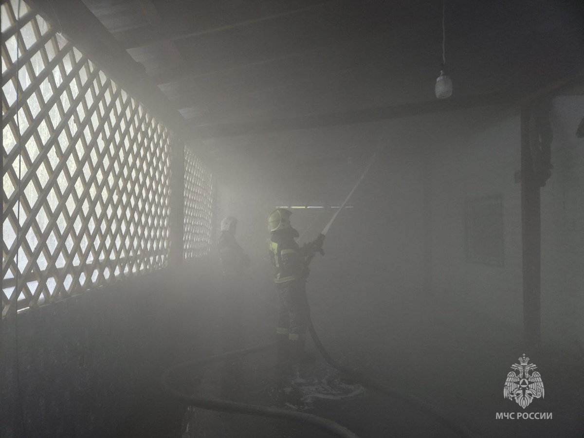     Фото: МЧС по Свердловской области