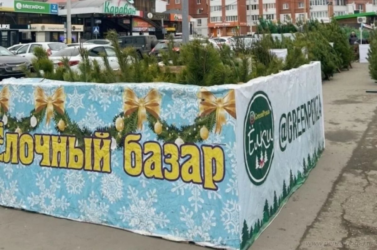    В Пензе открылись четыре елочных базара из 78 запланированных