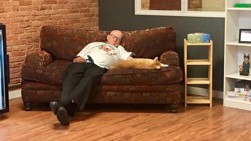 Терри стал самым известным кошачьим дедушкой в мире! ЕЩЕ фото --->>