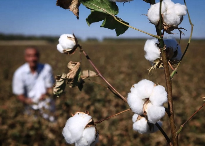 Фото с сайта sputniknews.ru