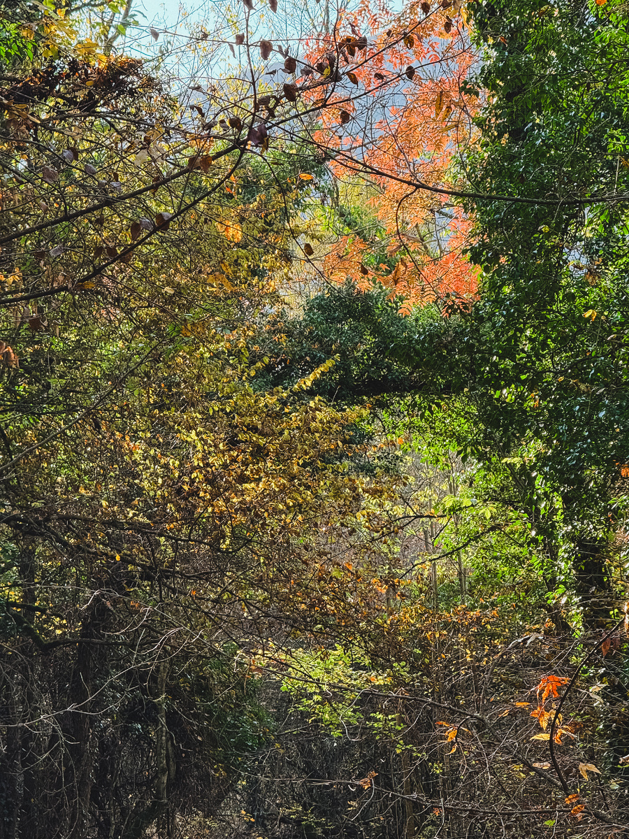 Ох уже эти яркие краски осени! 