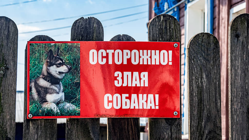 Фото: Константин Кокошкин / Коммерсантъ