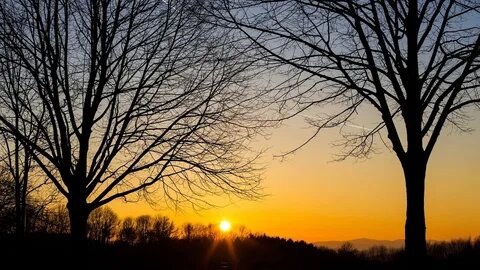 Изображение из открытых источников