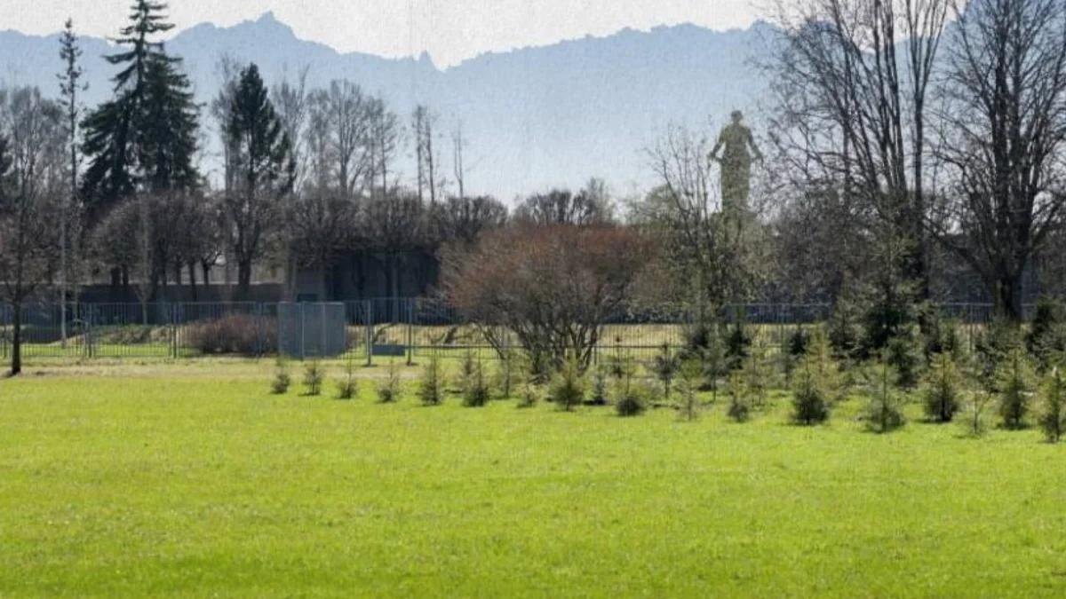    Фото: t.me/a_beglov