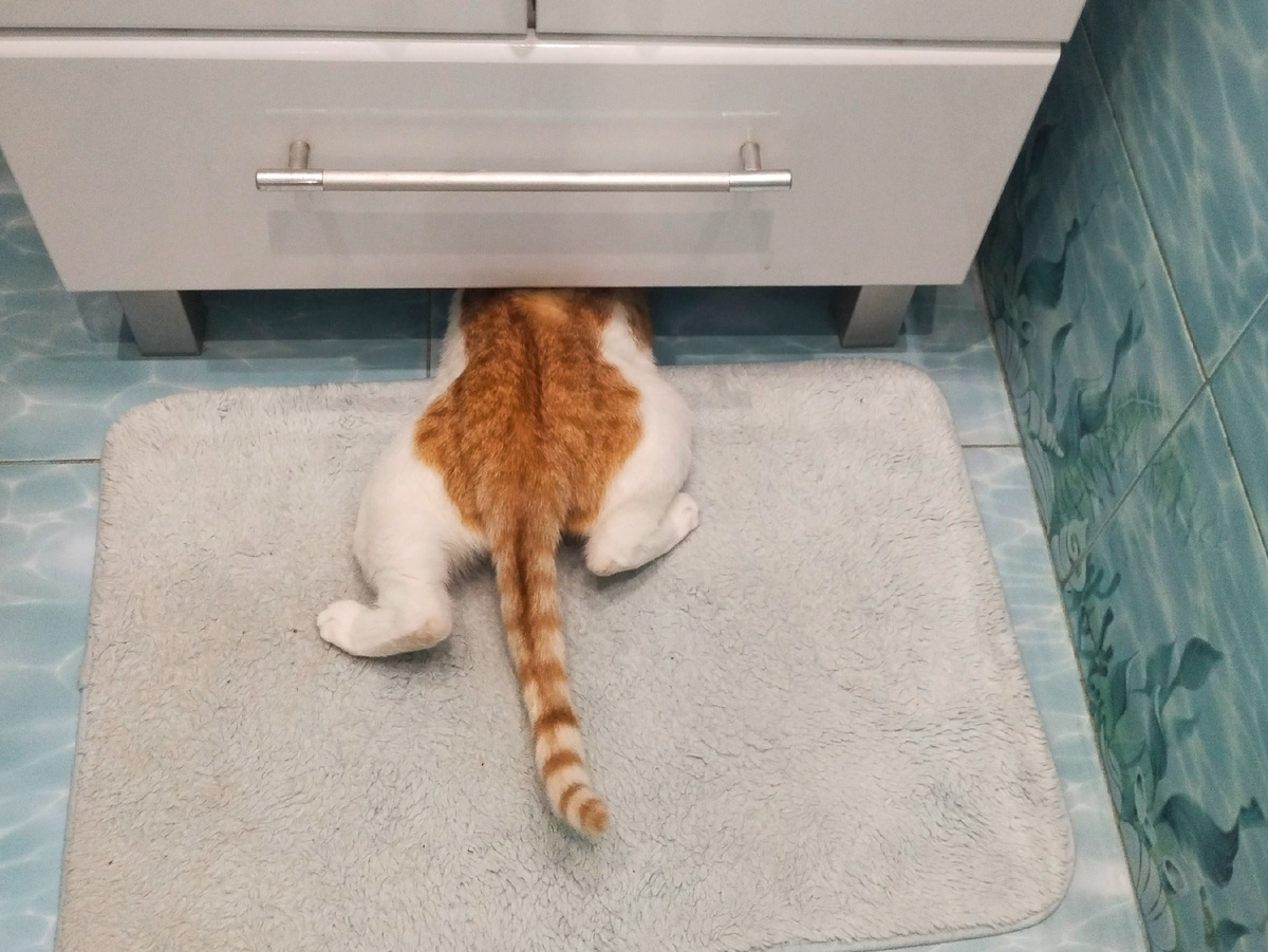 Быстро забираемся под что-нибудь!