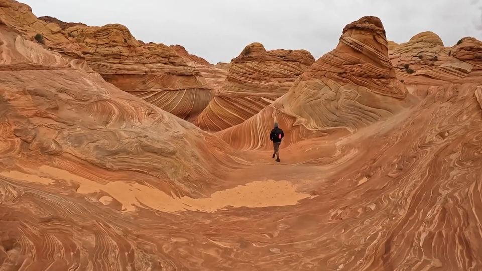 ФОТО: Кадр из программы "Невероятно интересные истории", РЕН ТВ