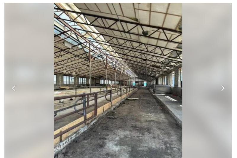 Животноводческий комплекс за 280 млн рублей продают в Воронежской области